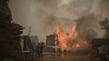 Les pompiers grecs combattent le feu à Chasia, dans la banlieue d'Athènes (Grèce), le 22 août 2023. (ANGELOS TZORTZINIS / AFP)