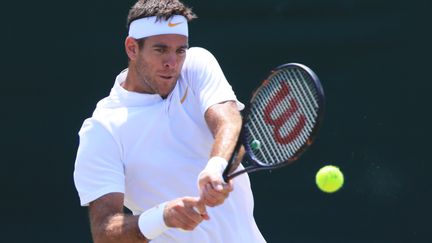 Juan Martin del Potro (KOTA KAWASAKI / YOMIURI)