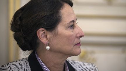 La ministre de l'Ecologie,&nbsp; S&eacute;gol&egrave;ne Royal, le 3 juillet 2014 &agrave; Paris. (JOEL SAGET / AFP)