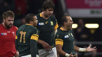 Les Springboks Bryan Habana, Lood De Jager et Fourie Du Preez lors du match Afrique du Sud - pays de Galles (BEN STANSALL / AFP)