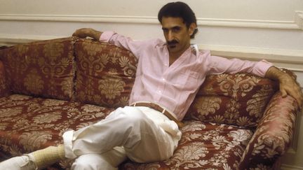 Frank Zappa en 1982
 (MARCELLO MENCARINI / Leemage)