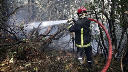 Incendie : des bénévoles pour éviter le pire