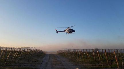 Le passage des hélicoptères permet de réchauffer l'air autour des vignes et de lutter contre le gel. (Chateau d'Arsac)