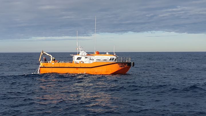 Ce programme "Stop Collision" est piloté par le WWF France, le 20 octobre 2024 au large de Toulon. (BORIS HALLIER / RADIO FRANCE)