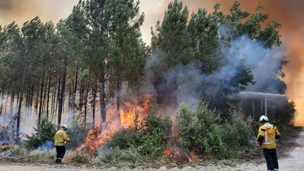 Incendie de Landiras en Gironde. Opération de brûlage&nbsp;dirigée par les pompiers près de Landiras en août 2022.&nbsp; (MARIE ROUARCH / RADIO FRANCE / FRANCE BLEU)