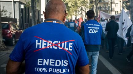 Un manifestant contre le projet Hercule d'EDF, le 19 septembre 2019 à Lyon. (NICOLAS LIPONNE / NURPHOTO / AFP)