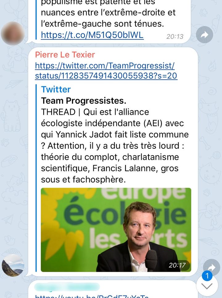 Capture d'écran de la boucle "Riposte En Marche !", sur laquelle élus, militants et salariés de LREM signalent les contenus de campagne à partager sur les réseaux sociaux. (FRANCEINFO)