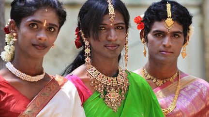 Issus de toutes les castes de la soci&eacute;t&eacute; indienne, les Hijras sont souvent des hommes qui ne se reconnaissent pas en tant que tel et ont d&eacute;cid&eacute; de se faire &eacute;masculer. (LAKSHMAN / AP / SIPA)