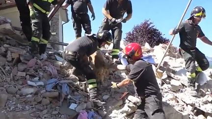 Des pompiers sauvent un chien dans les ruines du maison, près d'Amatrice, vendredi 2 septembre 2016.&nbsp; (VIGILI DEL FUOCO)