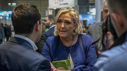 La présidente du Rassemblement national Marine Le Pen, le 14 février 2019. (JEAN-PHILIPPE KSIAZEK / AFP)