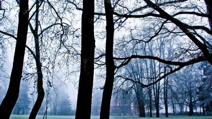 Un parc au Mans (Sarthe), le 30 décembre 2016.&nbsp; (GILE MICHEL / SIPA)