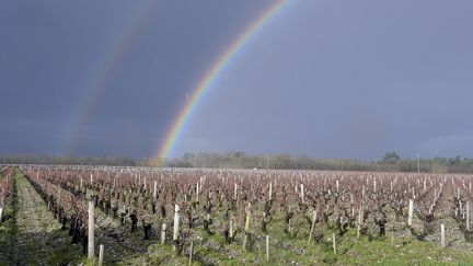 Le mois de janvier 2014 a &eacute;t&eacute; le mois de janvier le plus chaud observ&eacute; en France depuis 1900, ex-aequo avec 1936 et 1988. (JEAN-PIERRE MULLER / AFP)