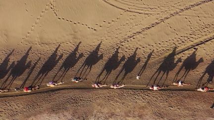 Le désert de Gobi s'étend de la Chine à la Mongolie, faisant de lui l’un des espaces désertiques les plus vastes au monde. Reportage. (France 2)