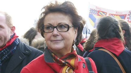 L'ancienne pr&eacute;sidente du Parti chr&eacute;tien-d&eacute;mocrate, Christine Boutin, le 19 janvier 2014 &agrave; Paris. (CITIZENSIDE / PATRICE PIERROT / AFP)