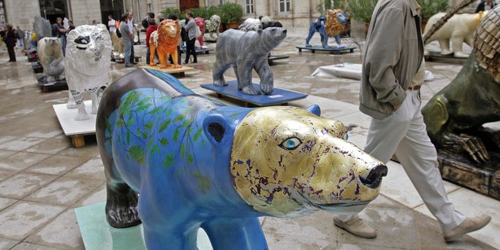 Lions et ours en 2008 à Lyon
 (PHOTOPQR/LE PROGRES/MAXPPP)