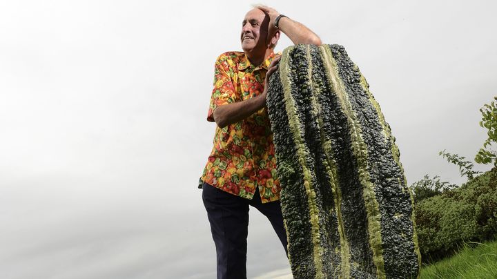 Ian Neale et sa courge de 50,5 kilos, lors du festival "Fleurs d'automne" &agrave; Harrogate (Royaume-Uni), le 13 septembre 2013. (NIGEL RODDIS / REUTERS)