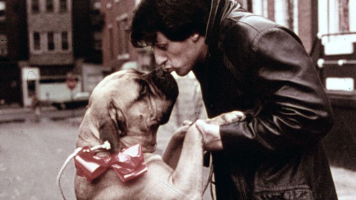 Sylvester Stallone embrasse son chien sur le tournage du film "Rocky", en 1976.&nbsp; ( GETTY IMAGES )