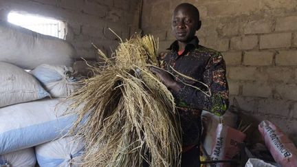 Pape Samba Diane, 45 ans, revenu au Sénégal, dirige aujourd'hui l'association des producteurs de riz de sa localité.

	  (SEYLLOU / AFP)