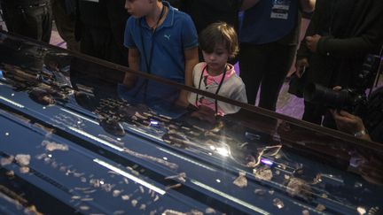 Ces enfants regardent le squelette d'Homo Naledi, un nouvel anc&ecirc;tre de l'esp&egrave;ce humaine, lors de la r&eacute;v&eacute;lation de cette d&eacute;couverte le 10 septembre 2015.&nbsp; (STEFAN HEUNIS / AFP)