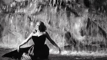 Anita Ekberg dans la Dolce Vita (1960)
 (Kobal/The Picture Desk)