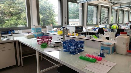 Ce laboratoire analysera jusqu'à 400 échantillons par jour pendant les Jeux. (EMMA SARRANGO - FRANCEINFO - RADIO FRANCE)