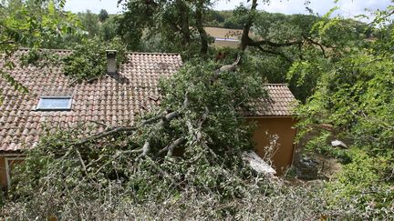 Un arbre est tombé sur une maison dans le Gers, à cause des intempéries, en août 2022. (SEBASTIEN LAPEYRERE / MAXPPP)