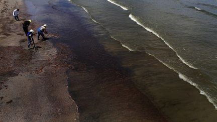 Nettoyage du littoral souillé par la marée noire, à Grande Ile, en Louisiane, le 12 juin 2010 (AFP/Spencer Platt/Getty Images)