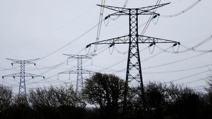 Des piliers électriques près de l'EPR de Flamanville (Manche) le 15 mars 2018. (CHARLY TRIBALLEAU / AFP)