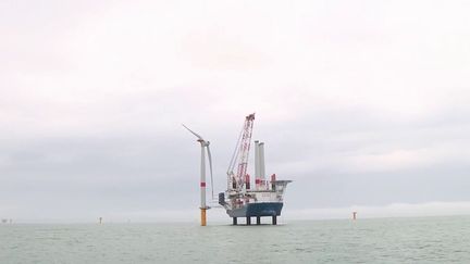 Énergies renouvelables : le premier parc éolien maritime de France voit le jour au large de Saint-Nazaire