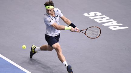 David Ferrer. (MIGUEL MEDINA / AFP)