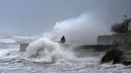 Une personne prend une photo des grosses vagues sur la page d'El Saler, tandis que la tempête Gloria atteint la côte espagnole près de Valence, le 20 janvier 2020. (JOSE JORDAN / AFP)