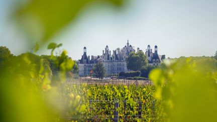 Le chateau de Chambord, l'un des plus visités de France. (illustration) (GUILLAUME SOUVANT / AFP)