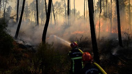 Des pompiers luttent contre l'incendie qui ravage une grande partie du Var, le 18 août 2021. (NICOLAS TUCAT / AFP)