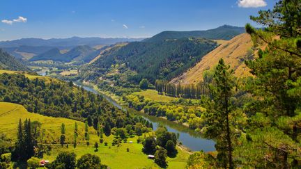 Révéré comme étant sacré par les Maori, le fleuve Whanganuia a été reconnu par le Parlement néo-zélandais comme une entité vivante.