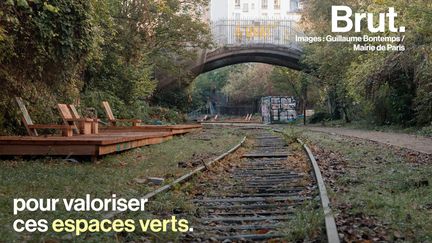 Ancienne voie ferrée, la Petite ceinture accueille une faune et une flore de plus en plus diversifiées.