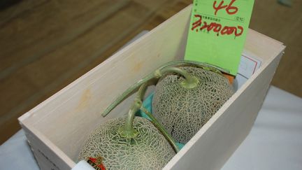 Une paire de melons yubaris a été vendue aux enchères plus de 25 000 euros, le 26 mai 2018 à Sapporo (Japon). (JIJI PRESS / AFP)