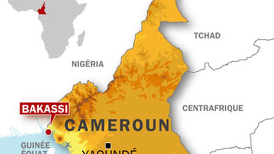 Les otages du Cameroun libérés