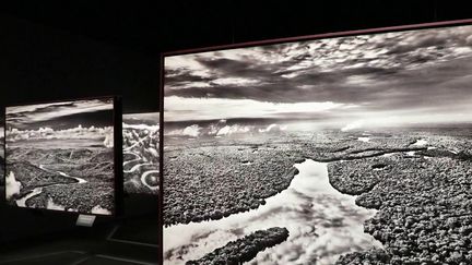 Exposition : avec "Amazonia", le photographe Sebastião Salgado veut raconter la vie dans la forêt amazonienne