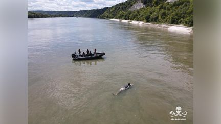 Photo postée sur Twitter par Sea Shepherd France. (CAPTURE D'ÉCRAN)