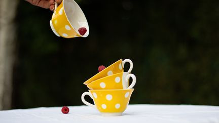 Les placards de nos grands-mères regorgent de tasses et assiettes en céramique qui proviennent de Digoin, en Saône-et-Loire. (LUCAS BATHIARD)