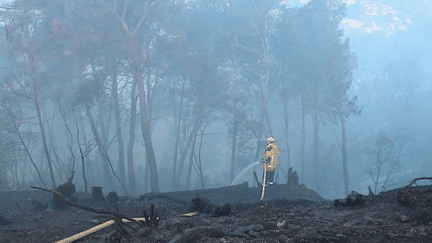 Dans la nuit du 31 mars au 1er avril, un incendie s’est déclaré dans les collines de Colomars, dans les Alpes-Maritimes. Une vingtaine de maisons ont été évacuées immédiatement. Dix hectares ont été ravagés par les flammes et un homme a été interpellé. (FRANCE 2)