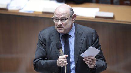 Jean-Marie Le Guen durant les questions au gouvernement &agrave; l'Assembl&eacute;e nationale &agrave; Paris, le 31 mars 2015. (LIONEL BONAVENTURE / AFP)