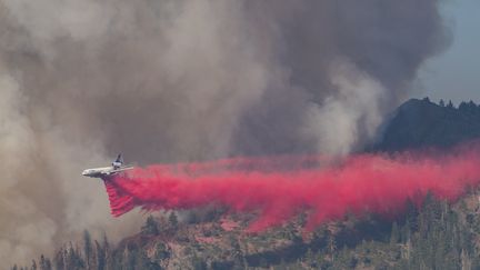 Un avion largue du produit retardant sur la fôret du parc Yosemite (Californie), le 11 juillet 2022. (NIC COURY / AFP)