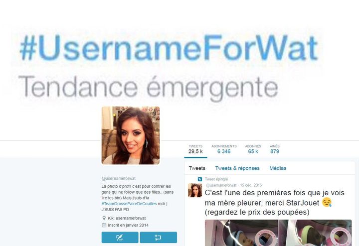 Capture d'écran du compte d'Usernameforwat. (TWITTER)