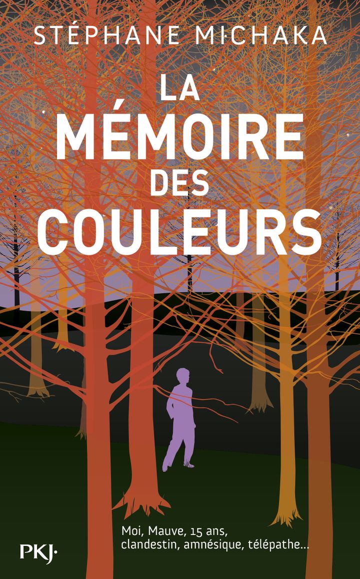 "La mémoire des couleurs", de S. Michaka (EDITIONS PKJ)