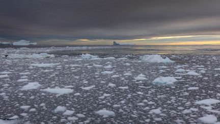 Des icebergs autour de la côte du Groenland, le 17 septembre 2022. (ROBERT MEERDING / ANP MAG / AFP)