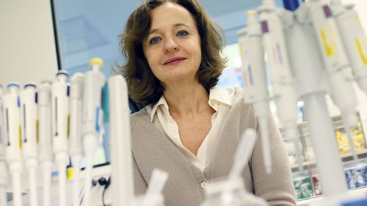 La chercheuse Marina Cavazzana-Calvo, le 11 f&eacute;vrier 2013 &agrave; l'h&ocirc;pital Necker, &agrave; Paris. (PATRICK KOVARIK / AFP)