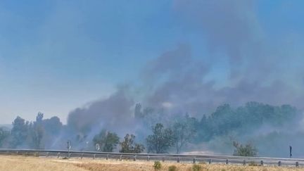 Bouches-du-Rhône : les villes d'Arles et Martigues menacées par les flammes