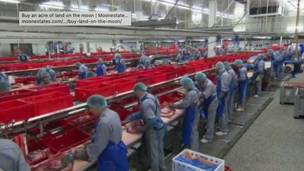 Plus de 700 personnes ont été testées positives à la Covid-19 dans un abattoir allemand. En direct de Berlin (Allemagne), le journaliste François Beaudonnet livre ses analyses sur ce nouveau foyer épidémique (FRANCE 3)