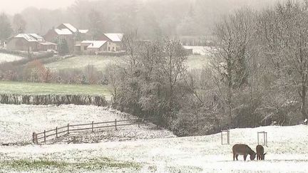 Météo : les premières chutes de neige sur l'Hexagone (France 2)